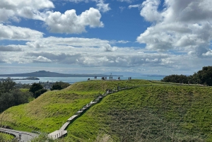 Visita privada de medio día a los lugares más destacados de la ciudad de Auckland