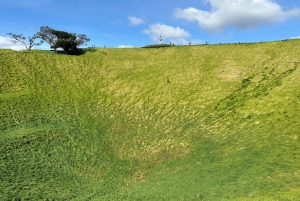 Visita privada de medio día a los lugares más destacados de la ciudad de Auckland