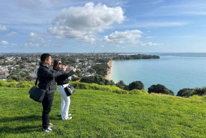 Auckland City Top Spots Half Day Private Tour