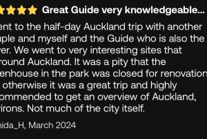 Visita privada de medio día a los lugares más destacados de la ciudad de Auckland