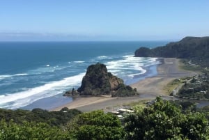 Auckland: Eco tour privato Coast to Coast