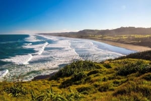 Auckland: Eco tour privato Coast to Coast