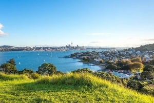 Auckland: Coast to Coast Private Eco Tour