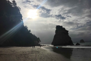 Auckland: Coromandel Beach, Caves & Forest Private Tour