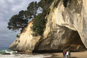 Auckland: Coromandel Beach, Caves & Forest Private Tour