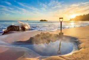 奥克兰:科罗曼德尔半岛 & 热水海滩游