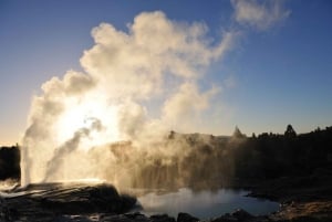 Auckland: Halvdagsudflugt til Rotorua Geothermal Valley