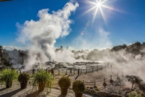 オークランド：ロトルア地熱渓谷への半日旅行