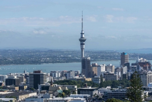 Rodzinne opowieści z Auckland: Spacer po mieście żagli