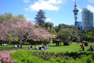 Racconti per famiglie di Auckland: Passeggiata nella città delle vele