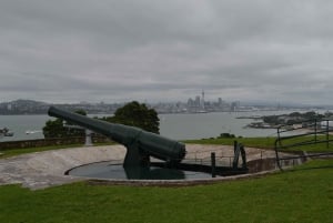 Auckl和: Full-Day City Highlights Tour