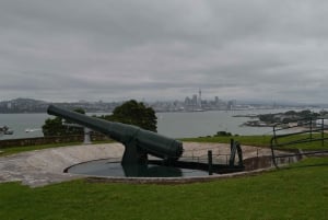 Auckland: Excursão de 1 dia aos destaques da cidade