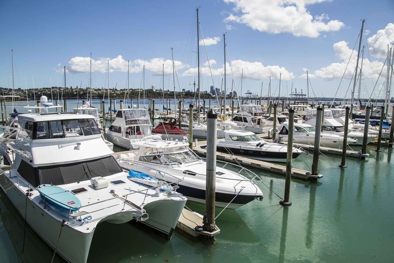 Auckland Ganztagestour für kleine Gruppen mit Guide