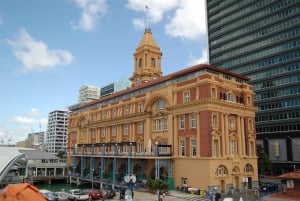 Auckland Full day Small Group Guided Tour