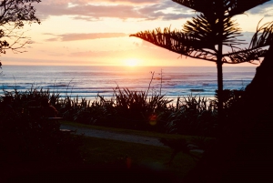 Auckland: Clase de surf en grupo con la Escuela de Surf Muriwai