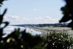 Auckland: Grupowa lekcja surfingu z Muriwai Surf School