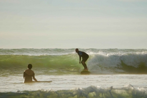 Auckland: Gruppesurfing med Muriwai Surf School