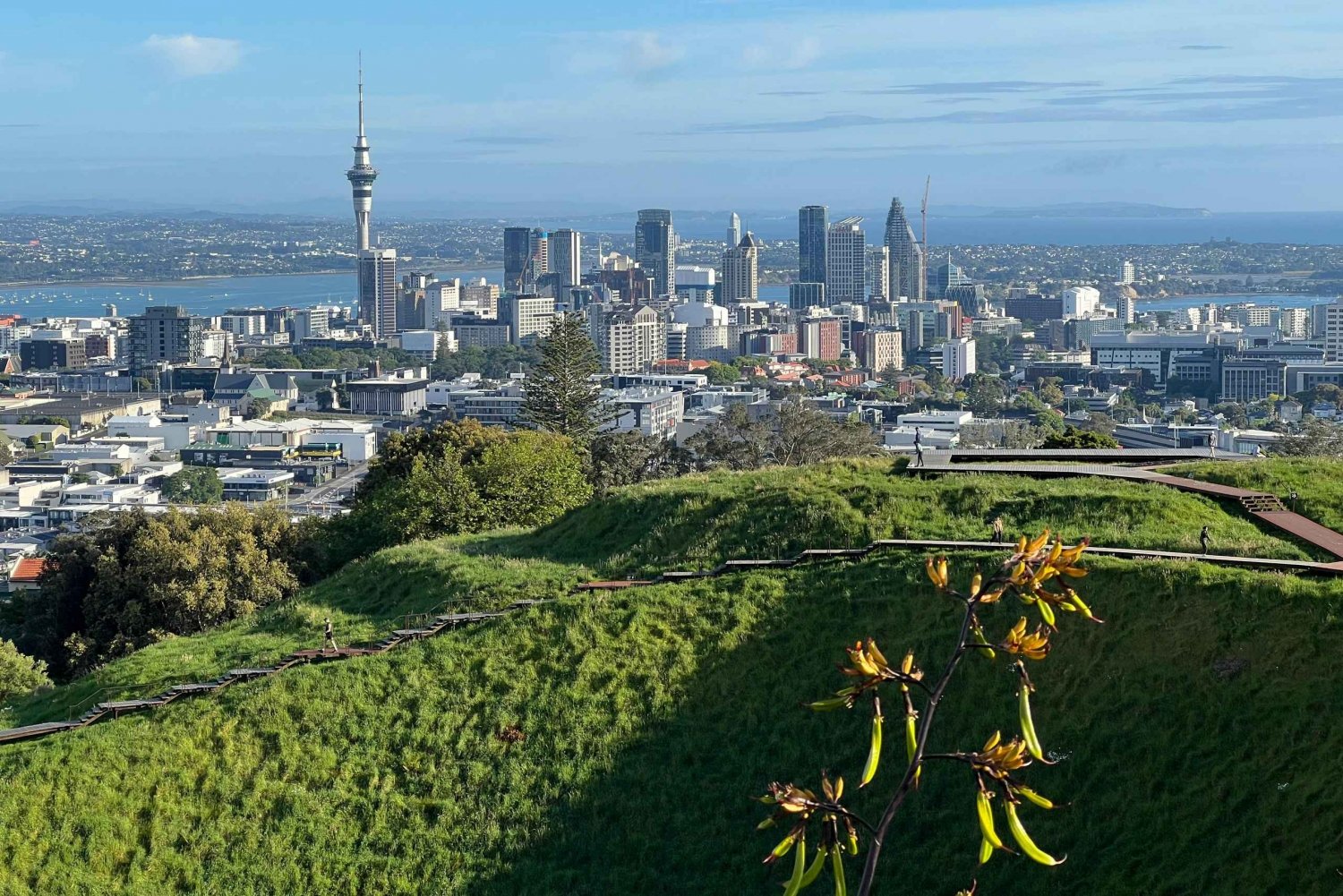 AUCKLAND: Halvdagstur med byrundvisning - Mt. Eden, Tamaki Dr.