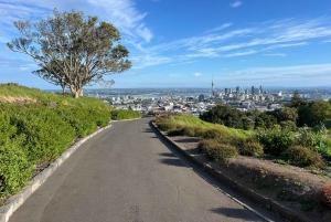 AUCKLAND: Halvdagsutflykt med stadsvandring - Mt.Eden, Tamaki Dr