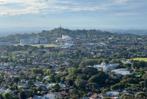 AUCKLAND: Half-Day CITY HIGHLIGHTS TOUR - Mt.Eden, Tamaki Dr