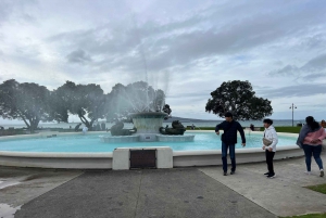 AUCKLAND: Halvdagsutflykt med stadsvandring - Mt.Eden, Tamaki Dr