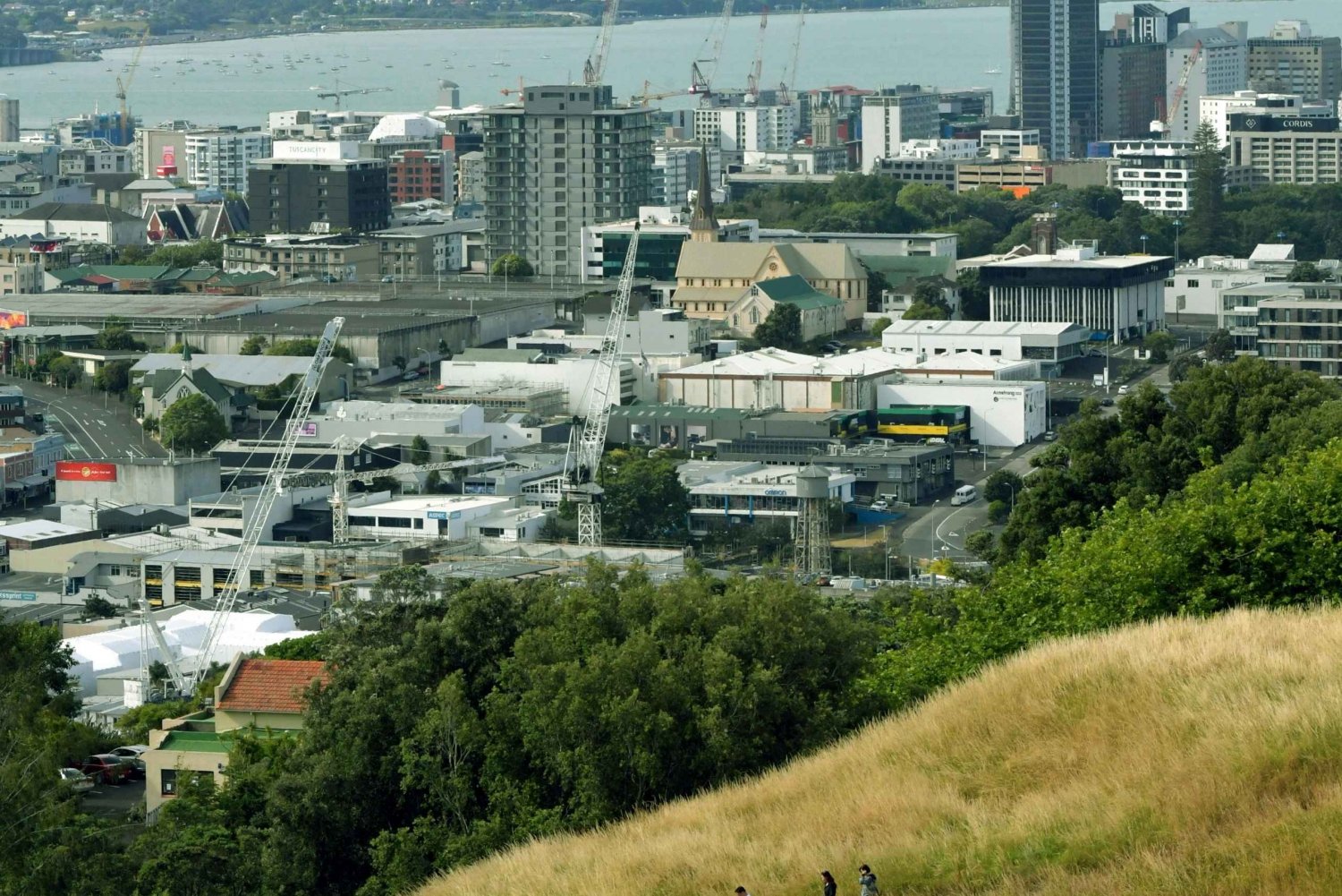 Auckland PRIVATE TOUR: Halvdags byrundtur - 6 timer