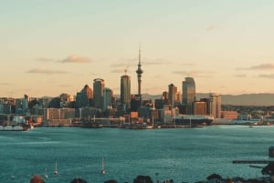 Auckland PRIVAT TUR: Halvdagstur i byen - 6 timer