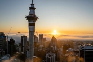 TOUR PRIVADO DE Auckland: Visita de medio día de la ciudad - 6 h