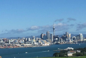 Auckland: Half-Day Private City 突出了 Tour