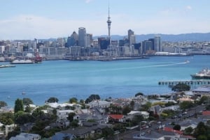 Auckland: Halvdags naturskjønn sightseeingtur