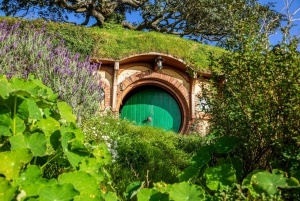 HOBBITON & HAMILTON GARDENS - Tour particular de um dia saindo de Auckland