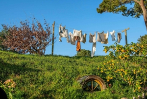 HOBBITON & HAMILTON GARDENS - Visite privée d'une journée depuis Auckland