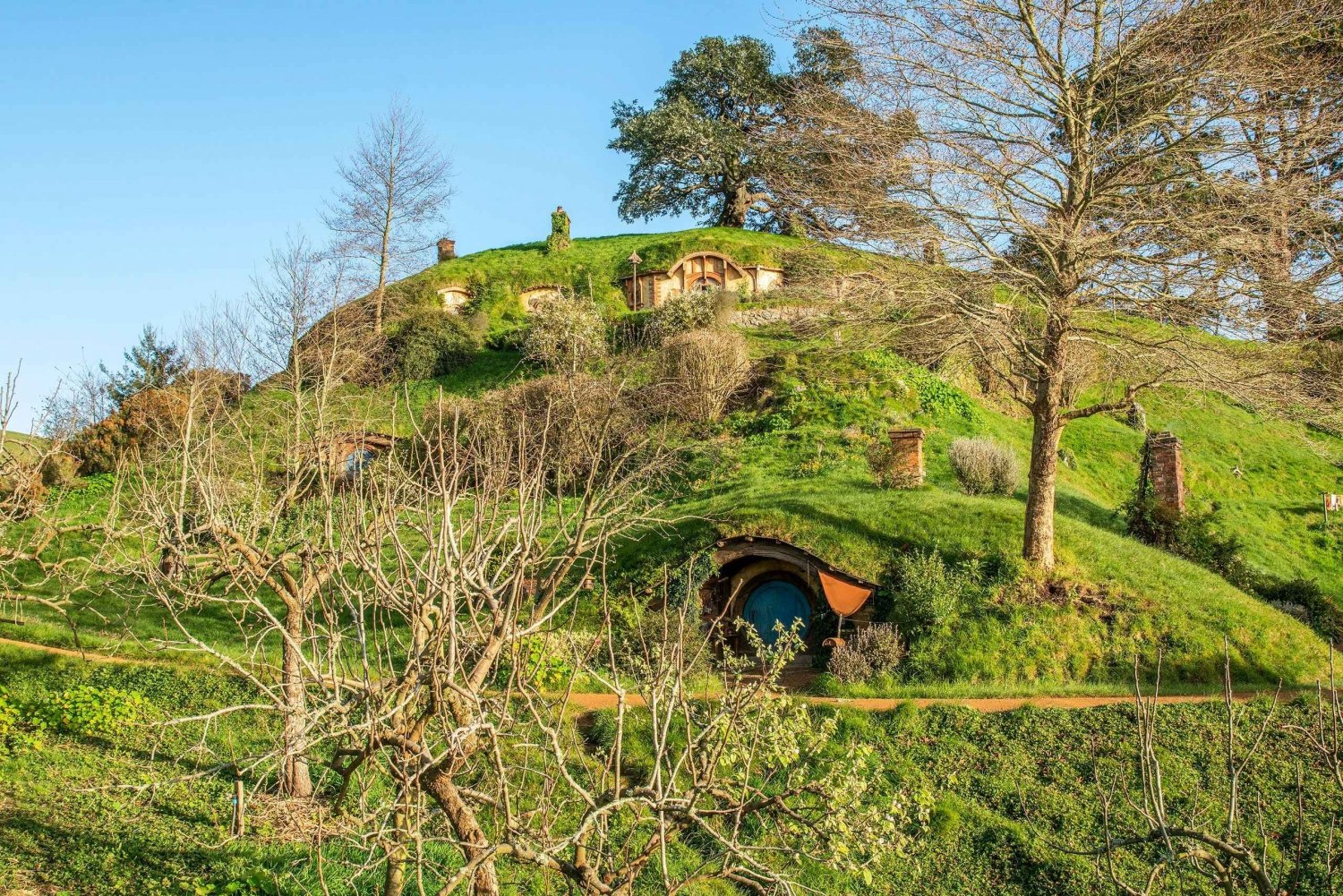 Grotte di WAITOMO e set cinematografico di HOBBITON - Tour privato di un giorno ex AKL