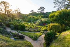 Auckland: Hobbiton Movie Set Tour med lunchbuffé