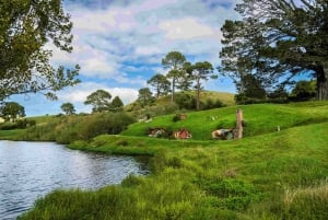 Auckland: Hobbiton Movie Set Tour & Buffet Lunch Combo