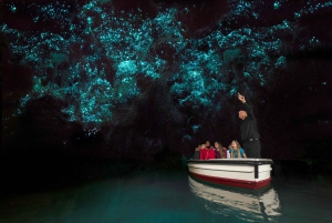 Auckland: Hobbiton & Waitomo Glow Worm Caves Yksityinen kiertoajelu