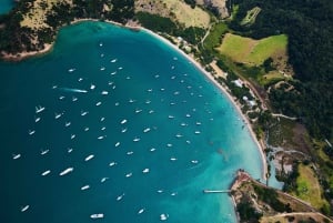 Auckland: Prom i pakiety do winnicy Man O' War