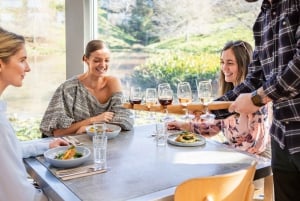 Auckland: Cata de Vinos y Paseo por el Sendero de las Esculturas