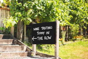 Auckland : Dégustation de vin et promenade sur le sentier des sculptures