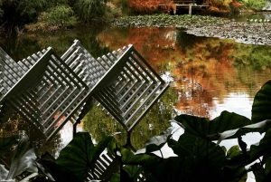 Auckland: Wijnproeverij en sculpturen wandeling