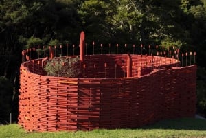 Auckland: Wijnproeverij en sculpturen wandeling