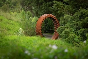 Auckland: Vinsmaking og skulpturvandring