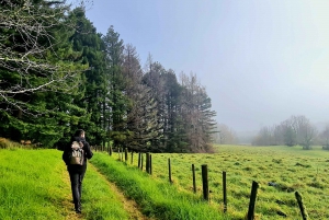 Auckland Nature Tour