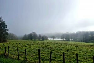 Wycieczka przyrodnicza po Auckland