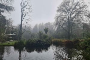 Wycieczka przyrodnicza po Auckland