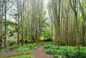 Auckland Nature Tour