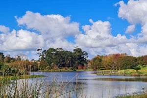 Auckland Nature Tour