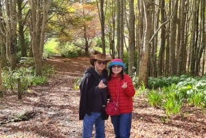 Auckland Nature Tour