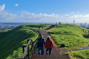 Wycieczka przyrodnicza po Auckland