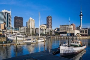 Auckland: Tour privado de la ciudad con el Monte Victoria y el Monte Eden